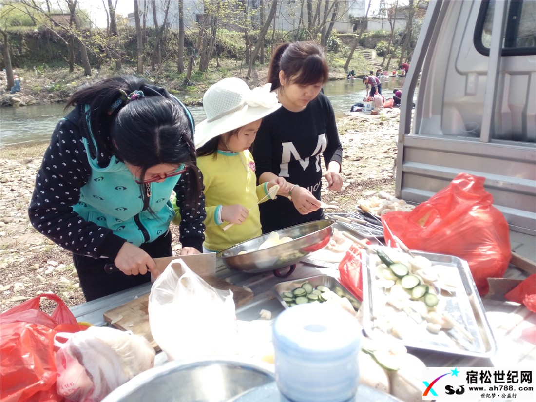宿松世纪网