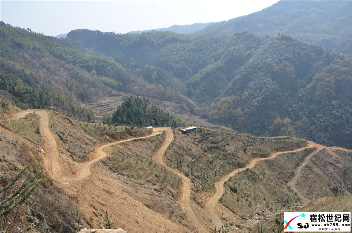 宿松特产:大山深处、春华秋实、天然山货宿松世纪网