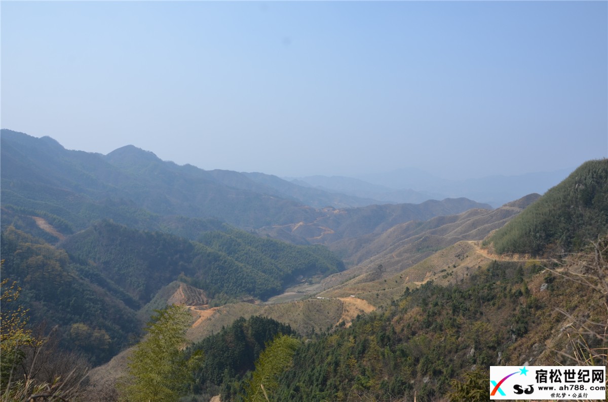宿松特产:大山深处、春华秋实、天然山货宿松世纪网