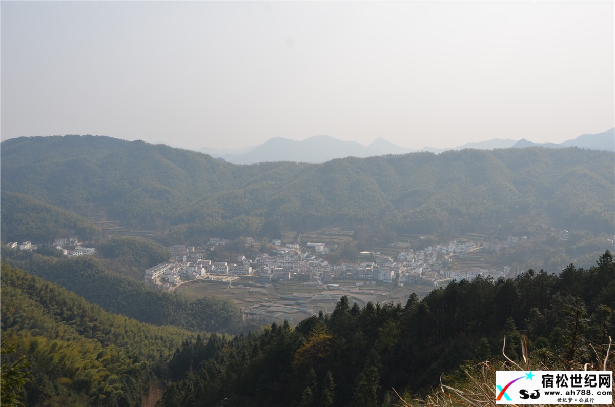 宿松特产:大山深处、春华秋实、天然山货宿松世纪网