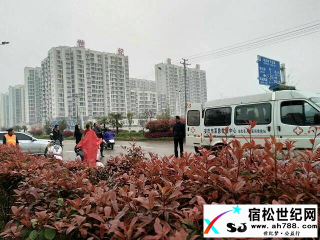 141854ta083rii11za9zpo.jpg
