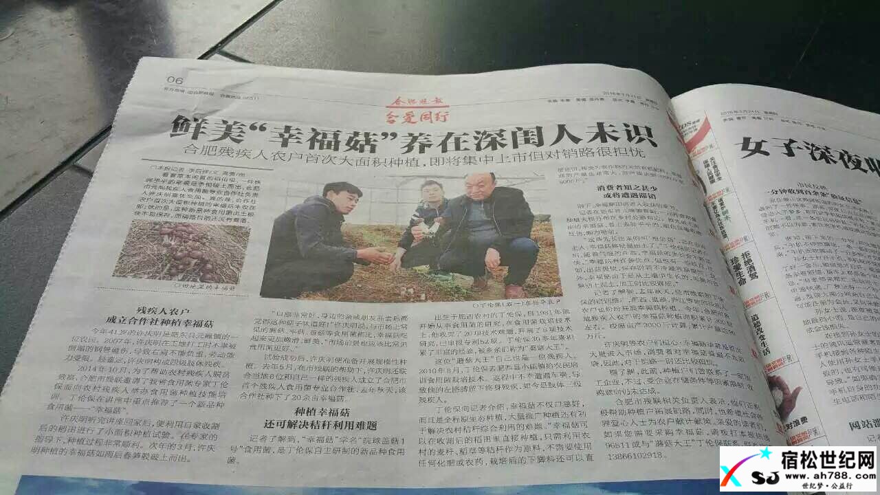 求助！宿松洲头残疾农民“姑王”紧急需出售！求传宿松世纪网