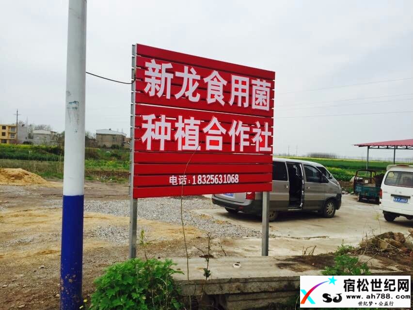 求助！宿松洲头残疾农民“姑王”紧急需出售！求传宿松世纪网