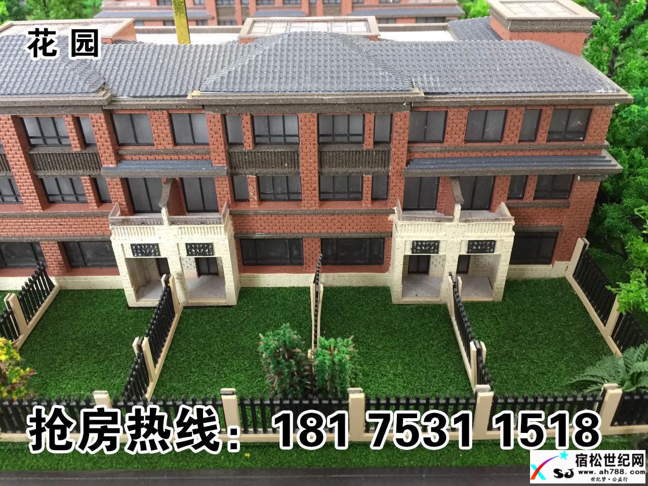 407034810312588660.jpg