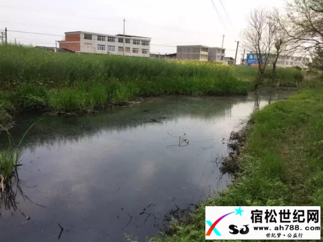 111.webp (2).jpg