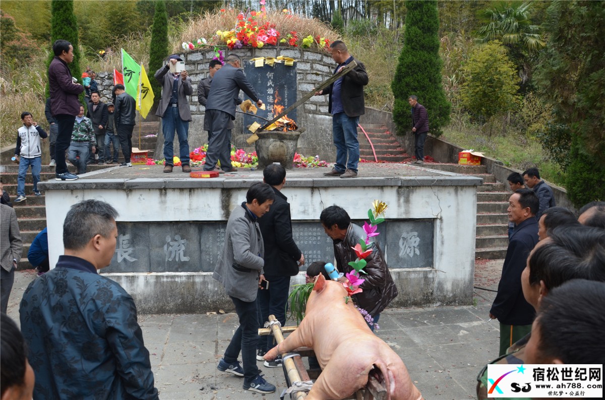 清明，宿松何氏祭祖，宿松世纪网何仁摄 (38).jpg