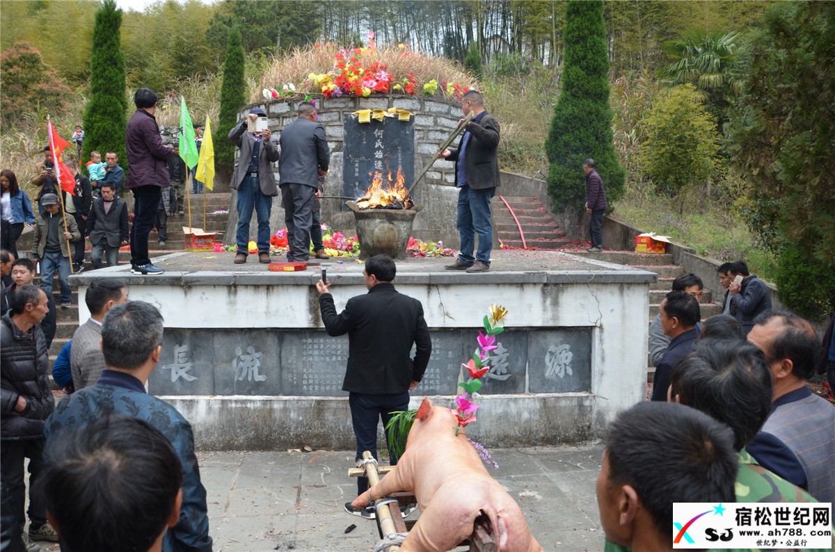 清明，宿松何氏祭祖，宿松世纪网何仁摄 (37).jpg