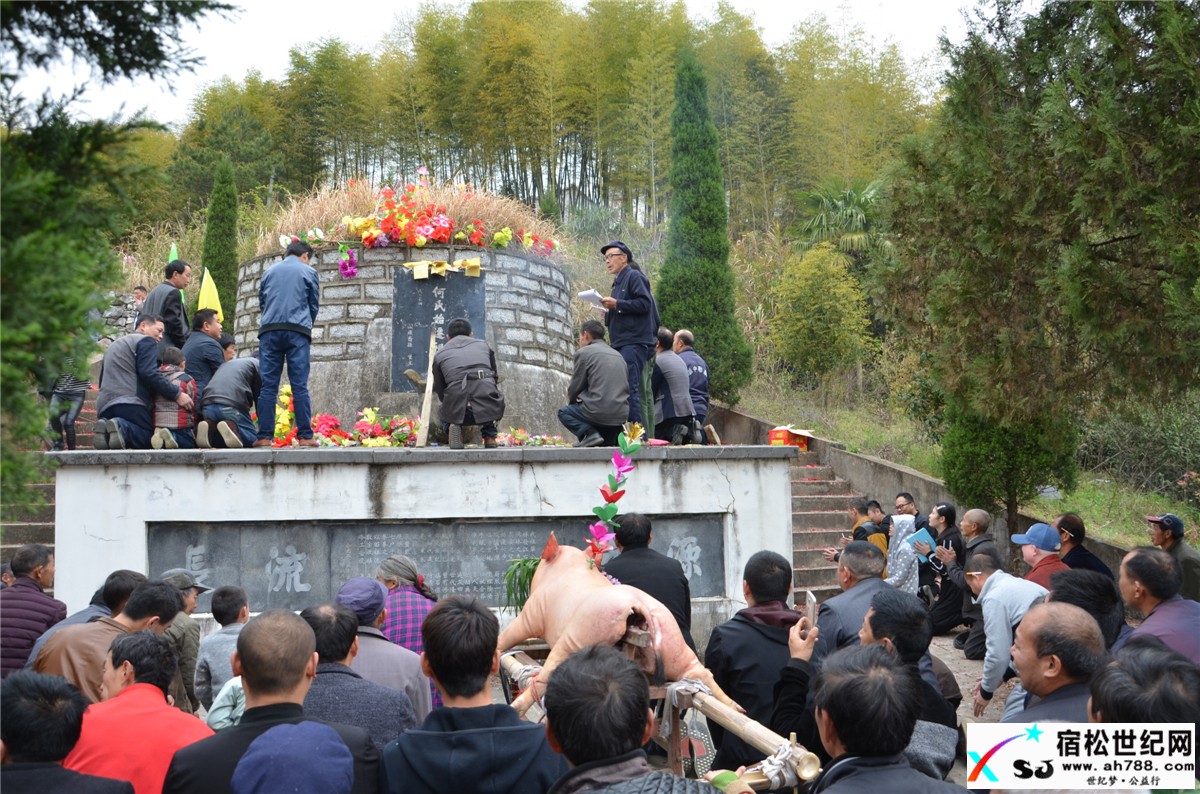 清明，宿松何氏祭祖，宿松世纪网何仁摄 (44).jpg