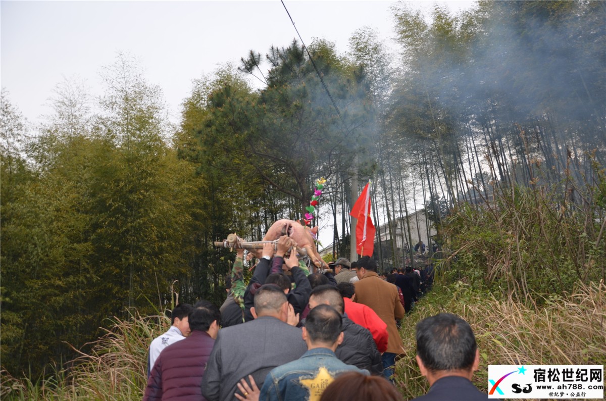 清明，宿松何氏祭祖，宿松世纪网何仁摄 (42).jpg