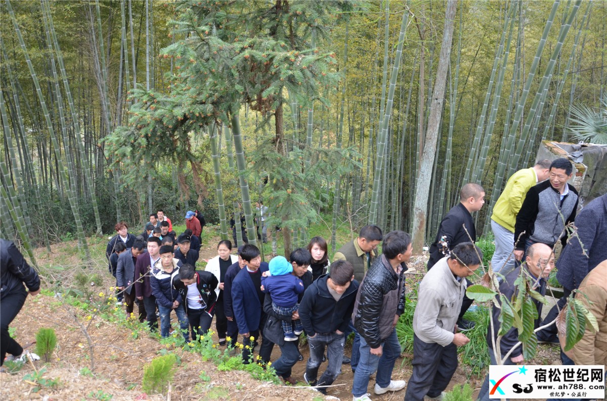 清明，宿松何氏祭祖，宿松世纪网何仁摄 (4).jpg