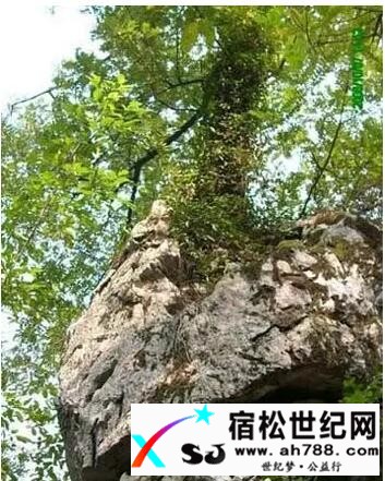 QQ截图20170412211139.jpg