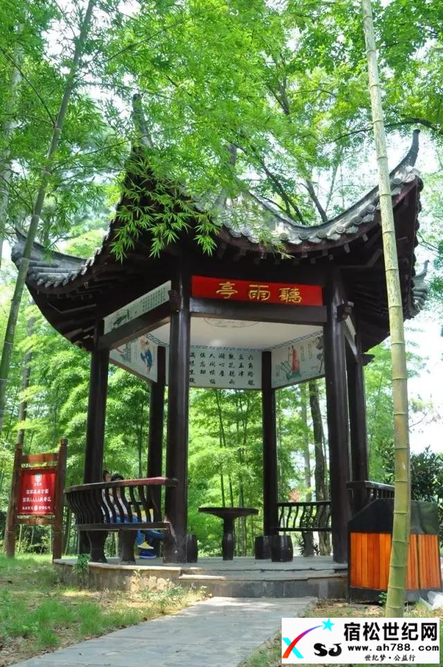 【美文】听雨亭：雨下得接近一种空无 (1).jpg