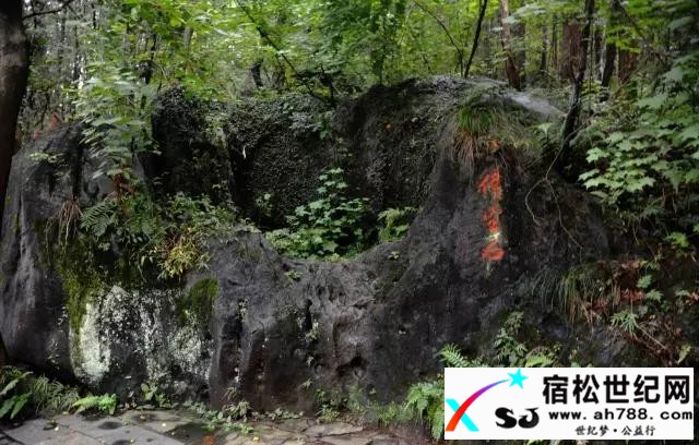 【美文】我在诗意中等你（池州 陈军） (3).jpg