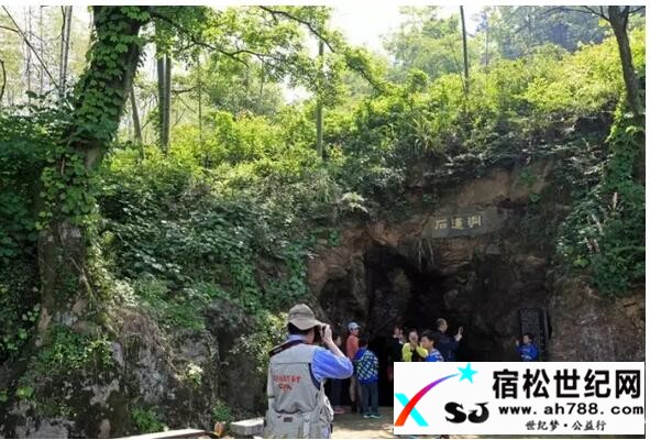 QQ截图20170412222847.jpg