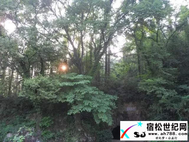 微信图片_20170412222727.jpg