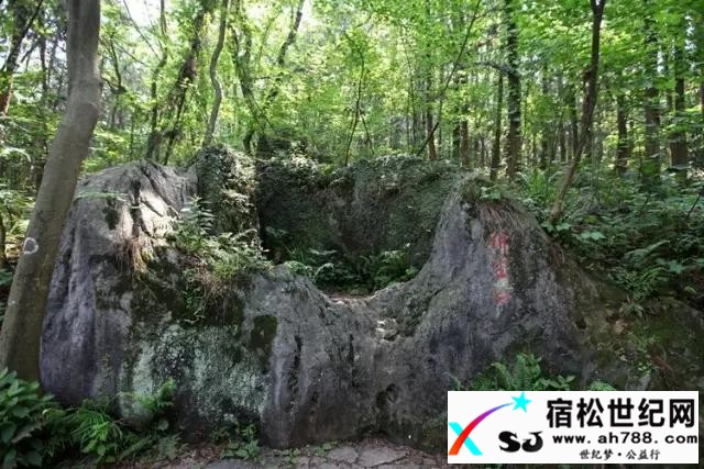 【征文】我在拈花，你在微笑赵海涛.jpg