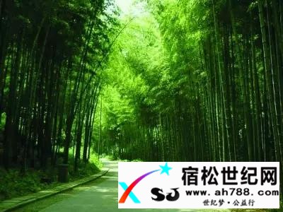 【美文】石莲洞的春天光其军.jpg