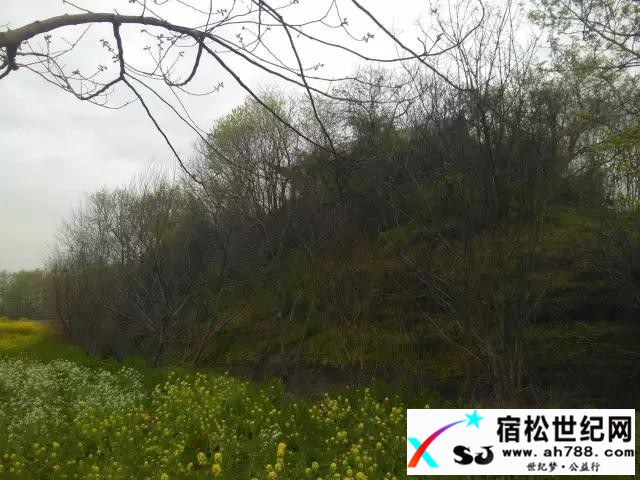【史记】宿松首任县令张何丹与石莲洞河西山.jpg