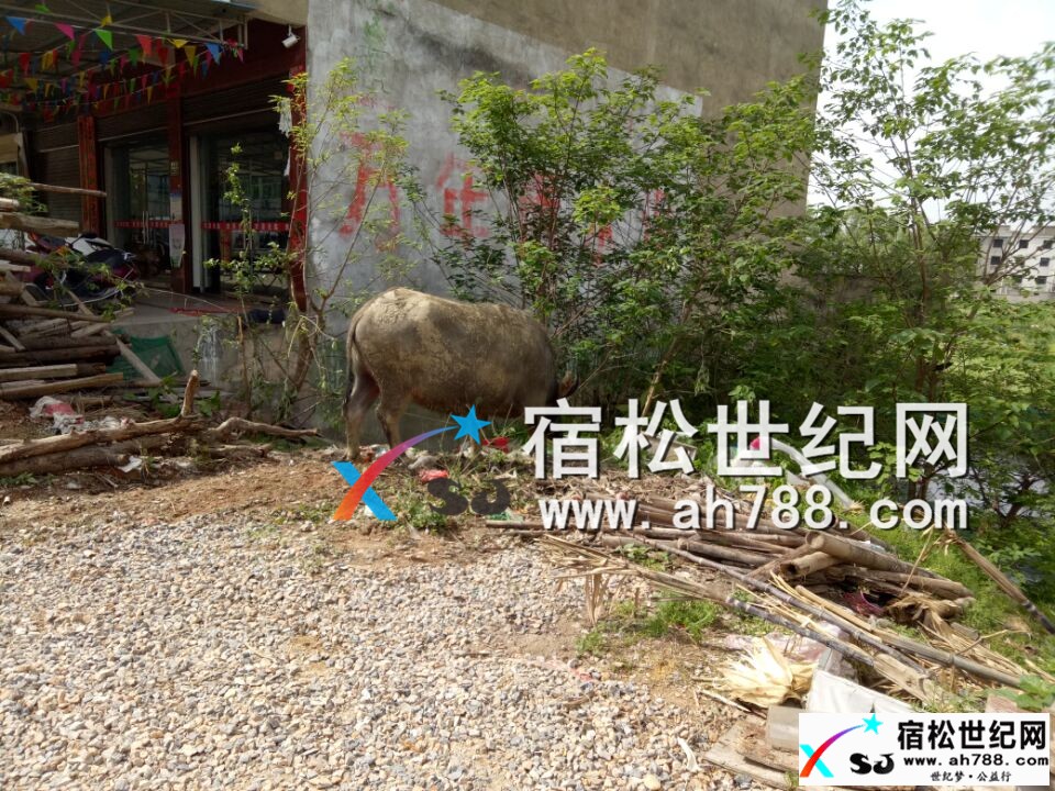 QQ图片20170418100310.jpg