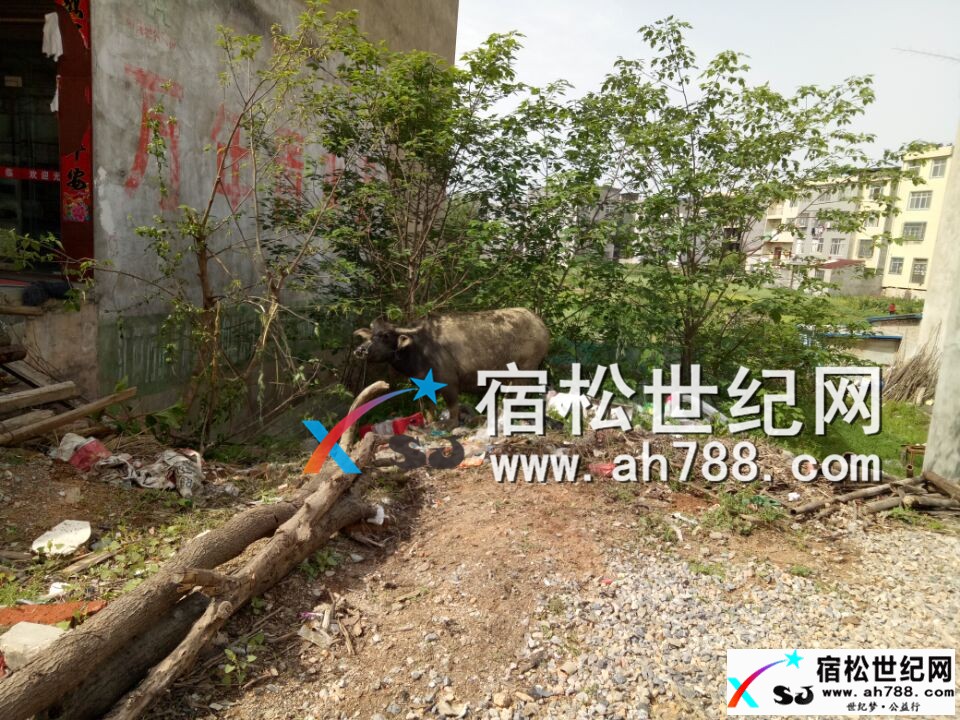 QQ图片20170418100257.jpg