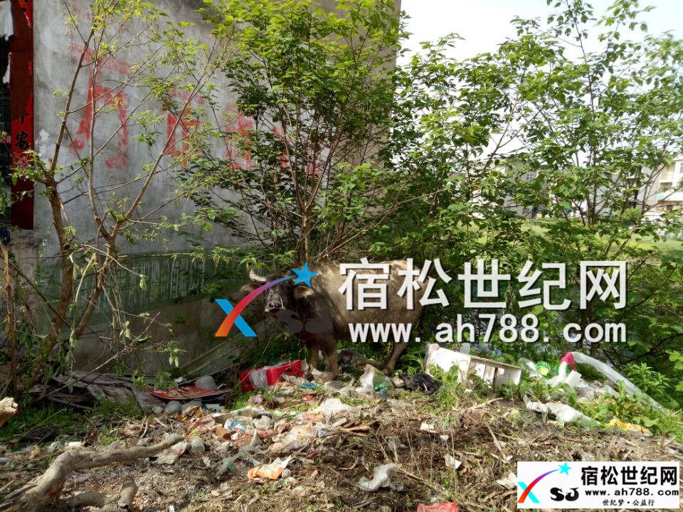 QQ图片20170418100250.jpg