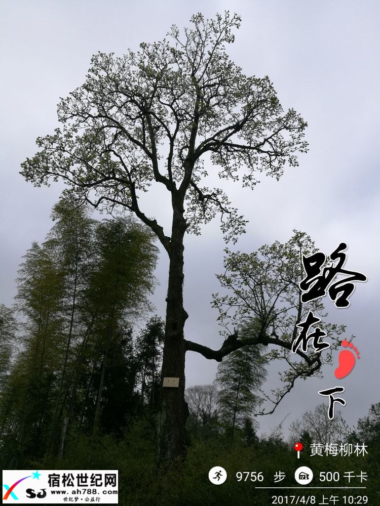 20170409黄梅蕲春宿松边区穿越（渔夫） (29).jpg