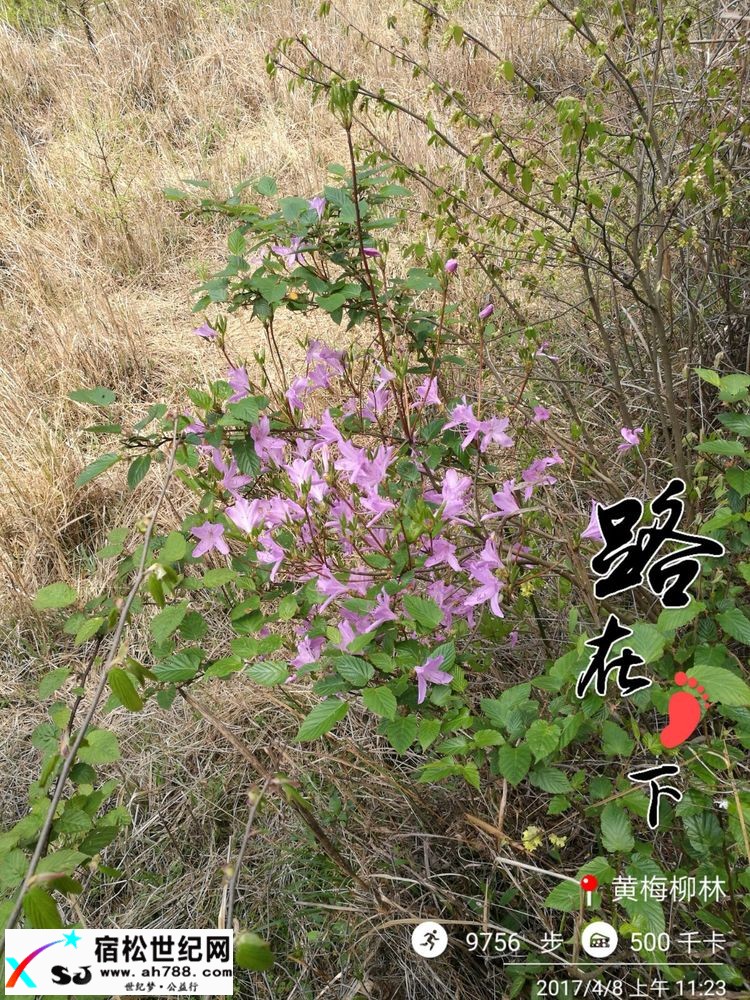 20170409黄梅蕲春宿松边区穿越（渔夫） (38).jpg