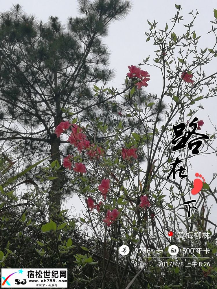 20170409黄梅蕲春宿松边区穿越（渔夫） (39).jpg