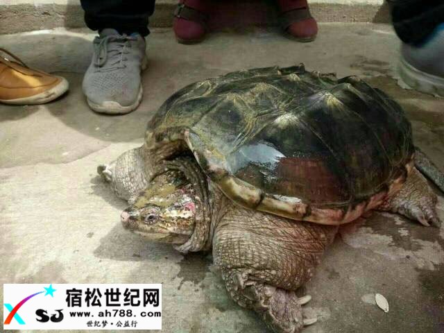 103352ikoflddhkvmnwokv.jpg