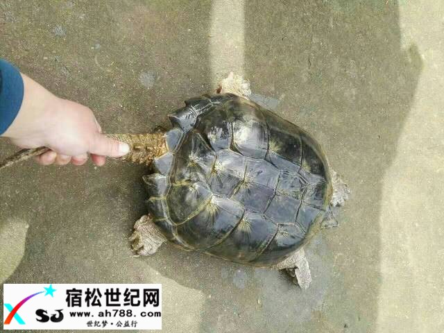 103353sqyfhtnbvjbklycb.jpg