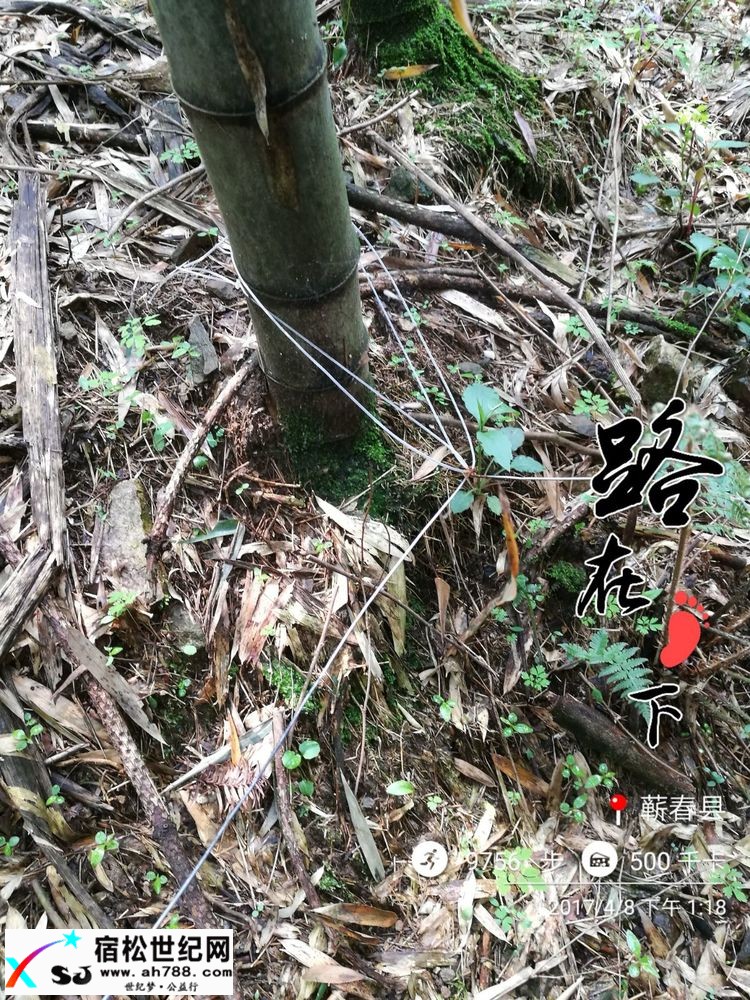 20170409黄梅蕲春宿松边区穿越（渔夫） (9).jpg