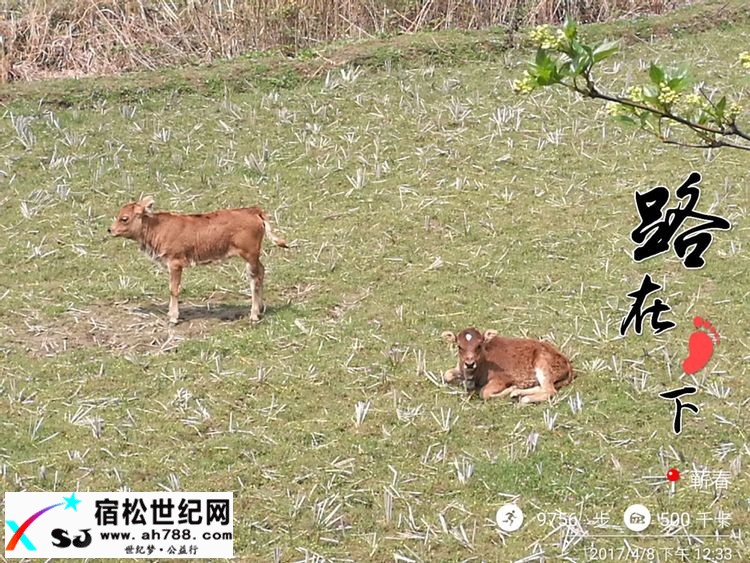 20170409黄梅蕲春宿松边区穿越（渔夫） (11).jpg