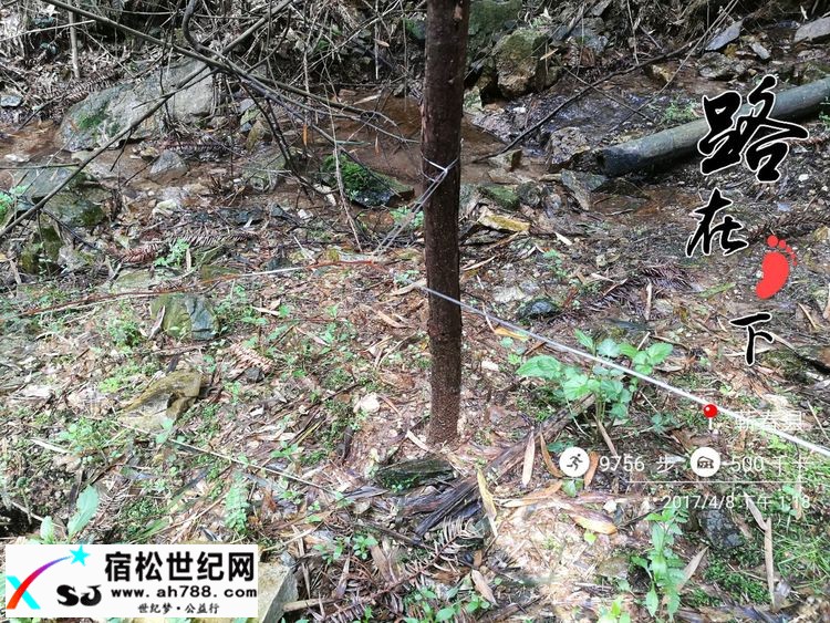 20170409黄梅蕲春宿松边区穿越（渔夫） (8).jpg