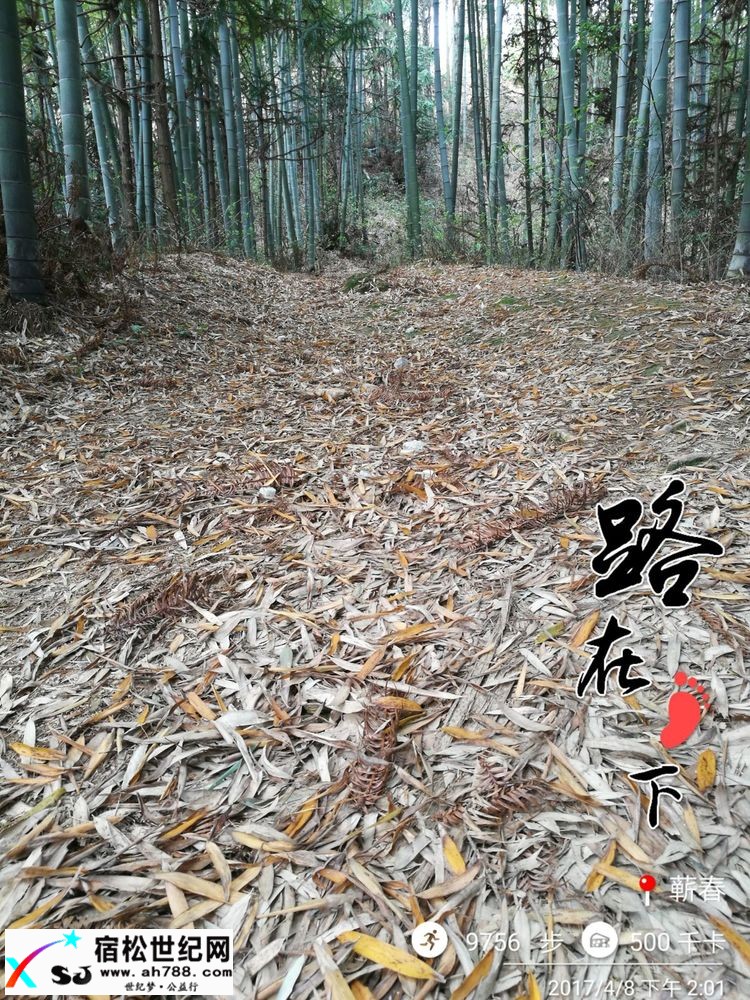 20170409黄梅蕲春宿松边区穿越（渔夫） (13).jpg