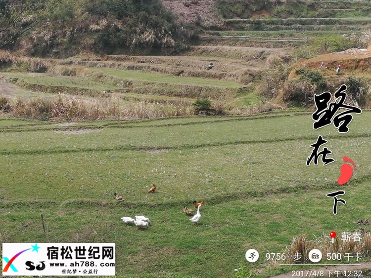 20170409黄梅蕲春宿松边区穿越（渔夫） (12).jpg