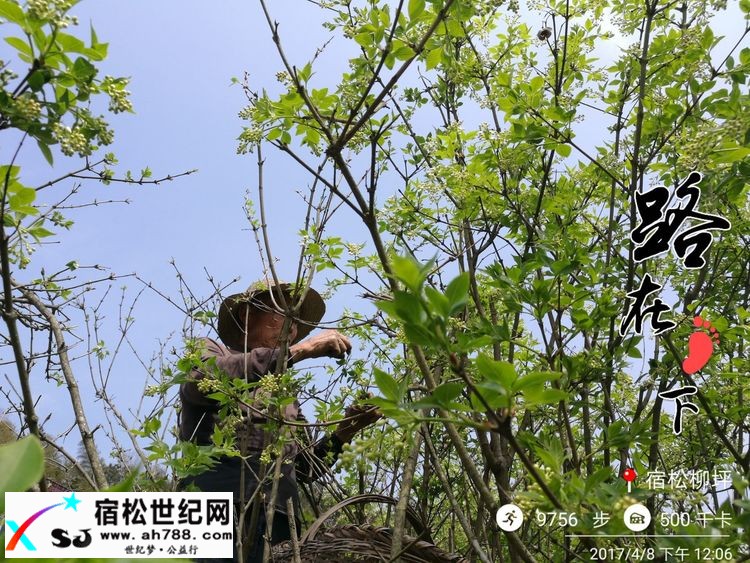 20170409黄梅蕲春宿松边区穿越（渔夫） (25).jpg