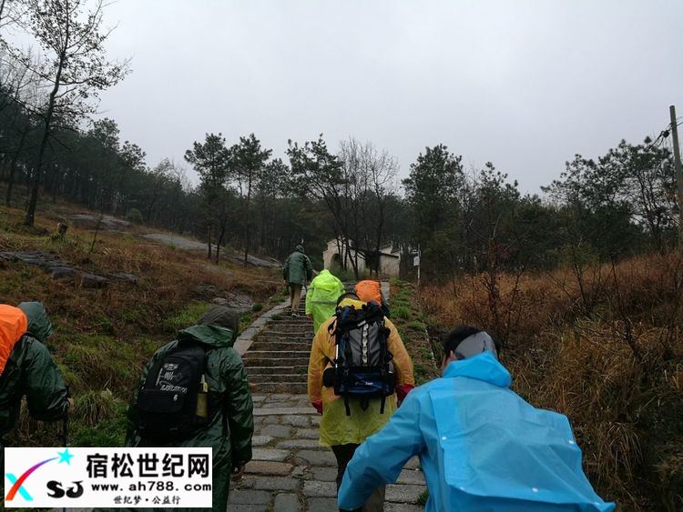 d9b460d494014db0bef31ddd5a6f6ff5.jpg