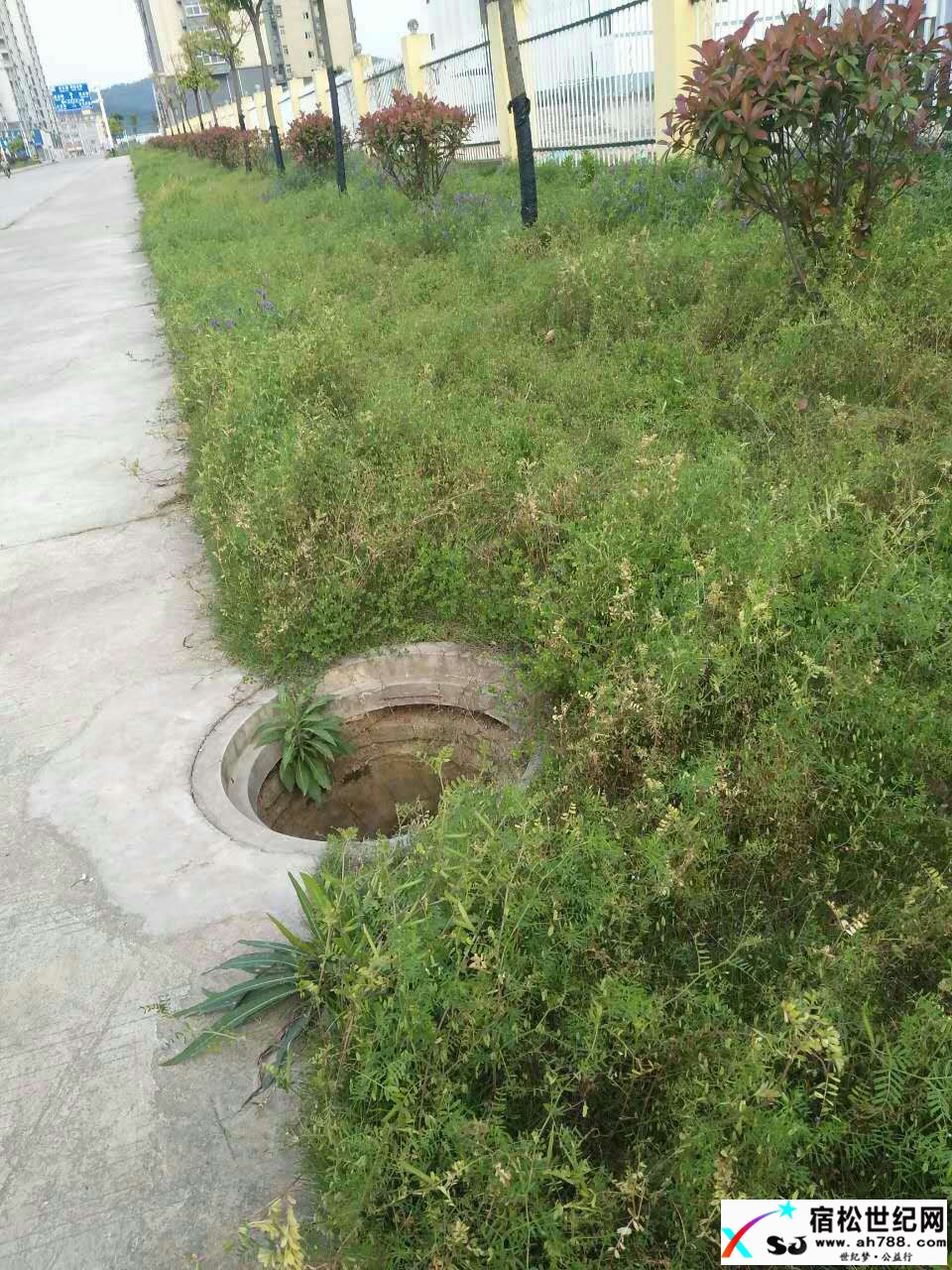 微信图片_20170427184543 - 副本.jpg
