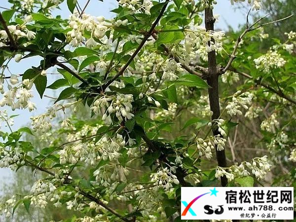 微信图片_20170429082036.jpg