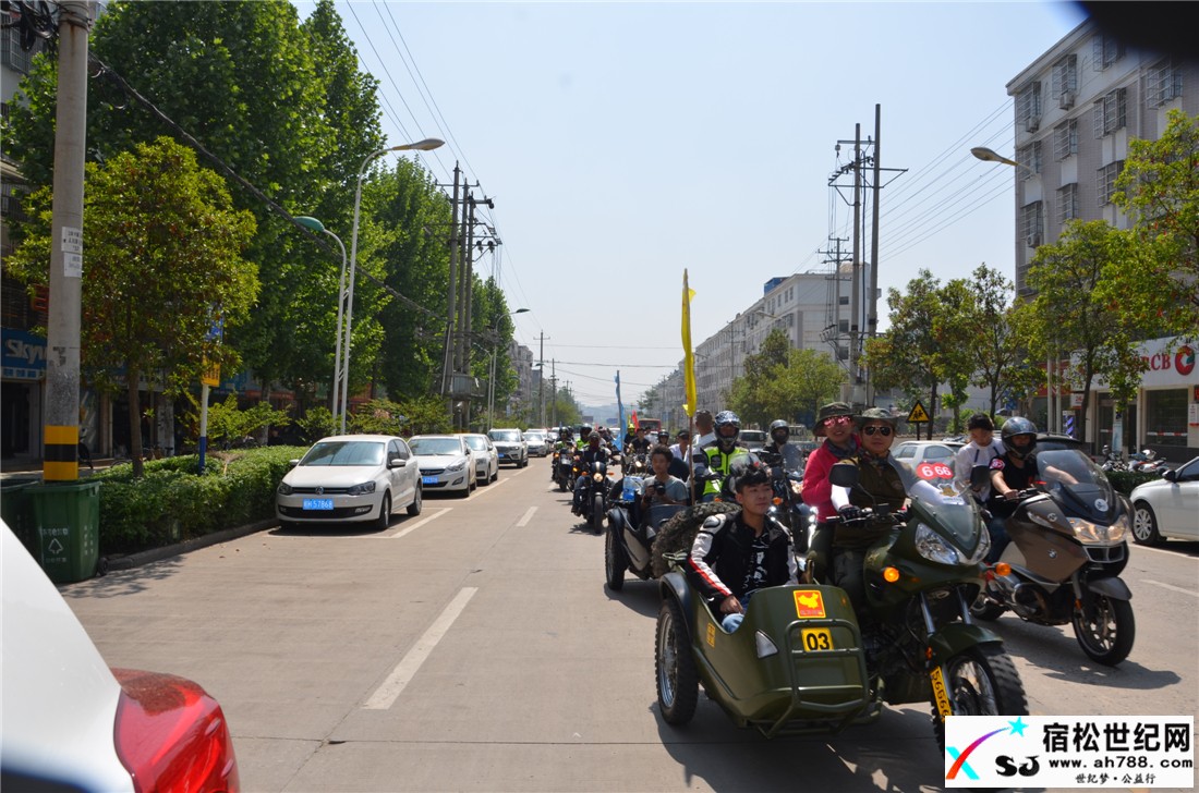 DSC_9798.jpg