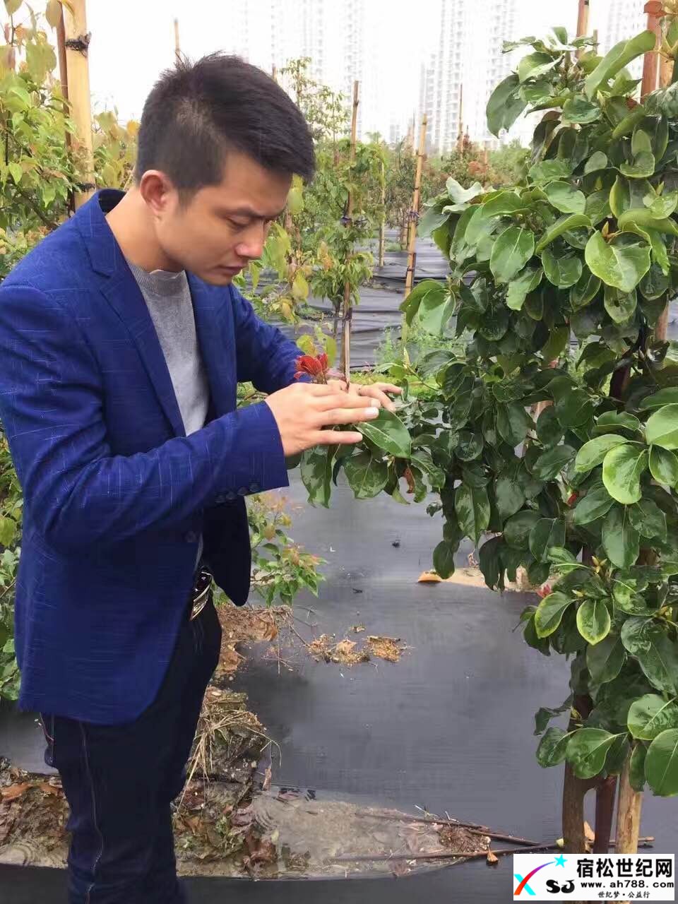 健康财富慈悲心，大陆台湾两岸情 (5).jpg