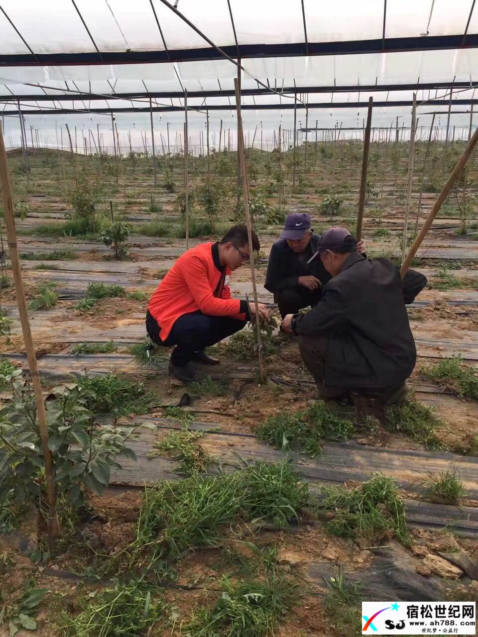 健康财富慈悲心，大陆台湾两岸情 (4).jpg