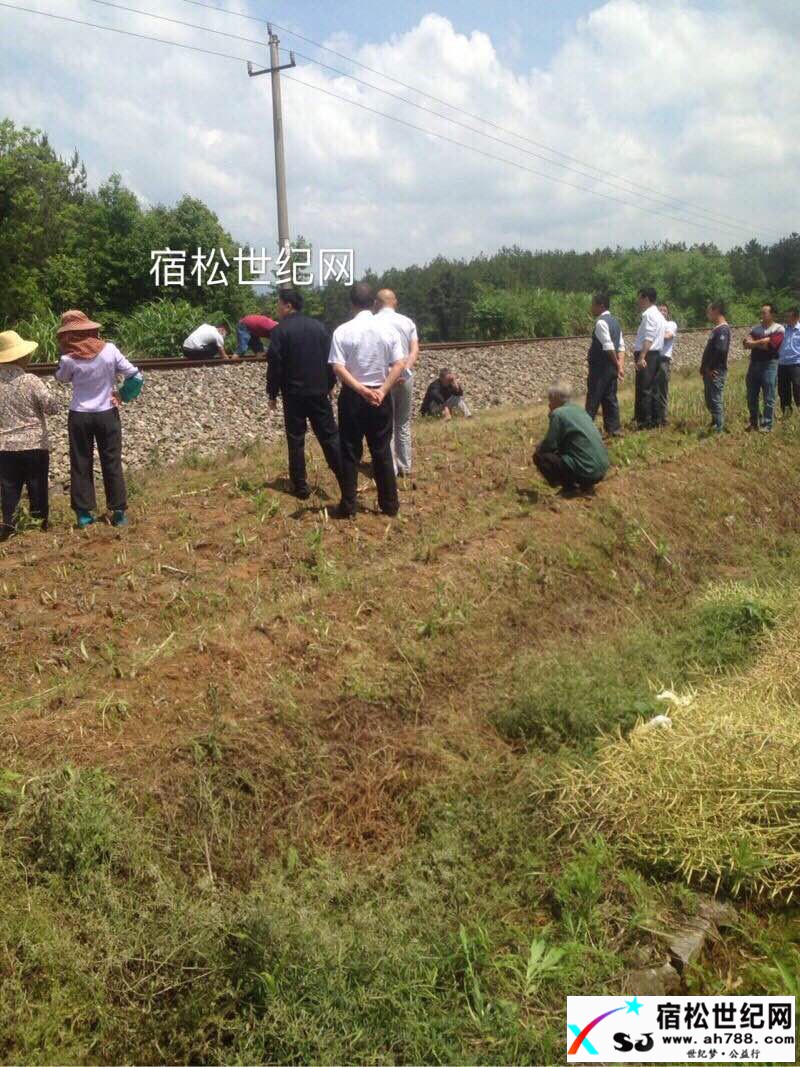 微信图片_20170512115313.jpg