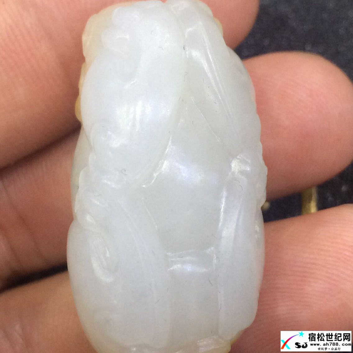 QQ图片20170517101945.jpg
