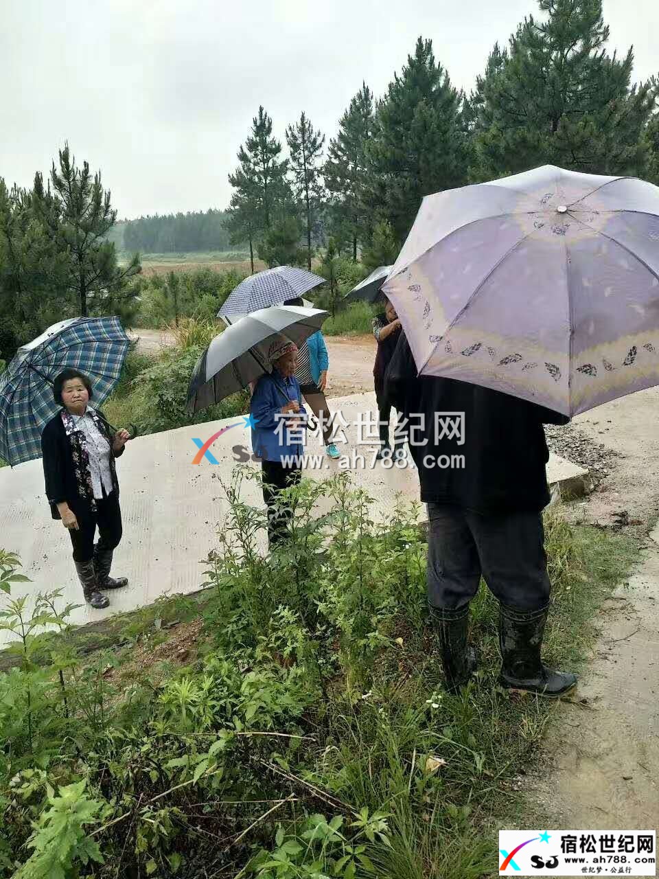 113647fmifbuhow8rymnce_副本.jpg