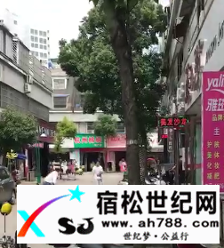 屏幕快照 2017-05-25 20.36.37.png
