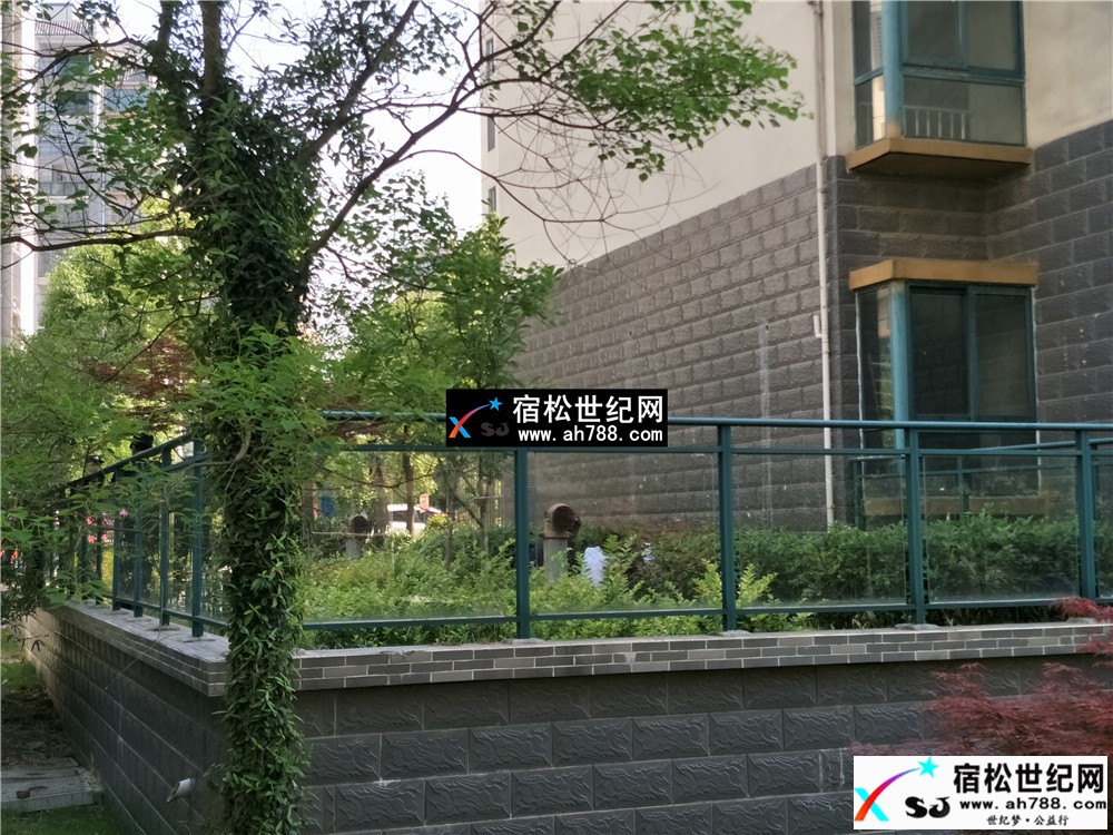 QQ图片20170528101019.jpg