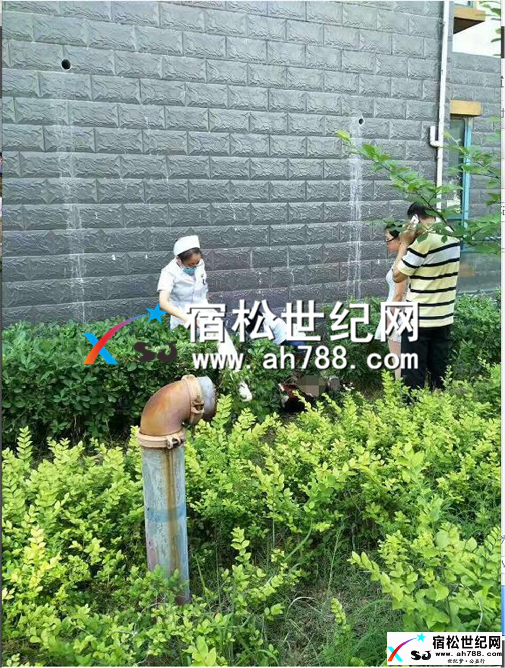 QQ截图20170528133456_副本.jpg