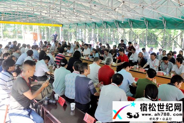 第二届“中国诗歌之乡宿松诗歌节”成功举办.jpg