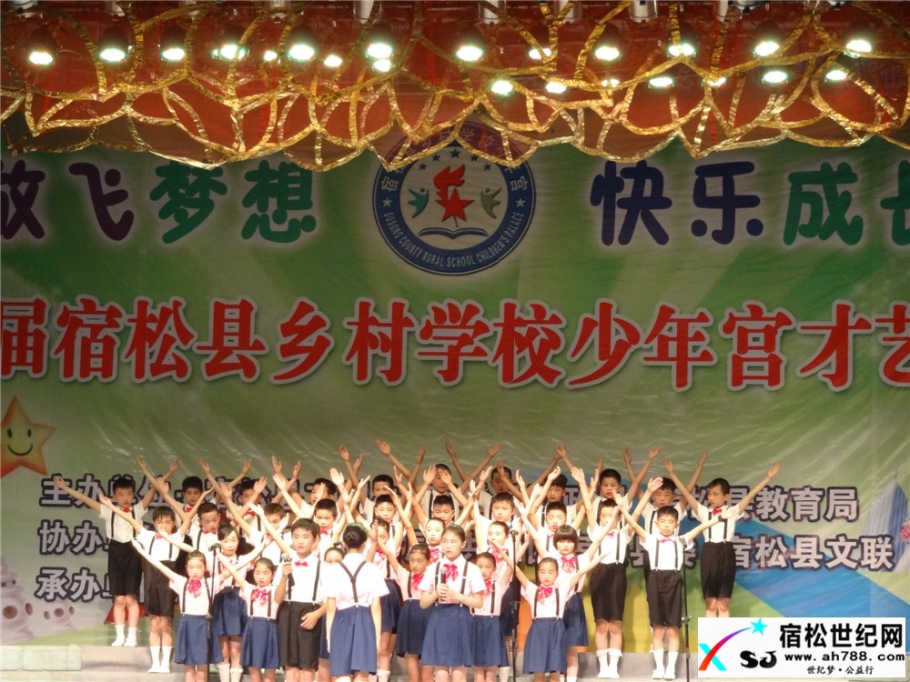 宿松县成功举办第二届乡村学校少年宫才艺展演活动 (2).jpg